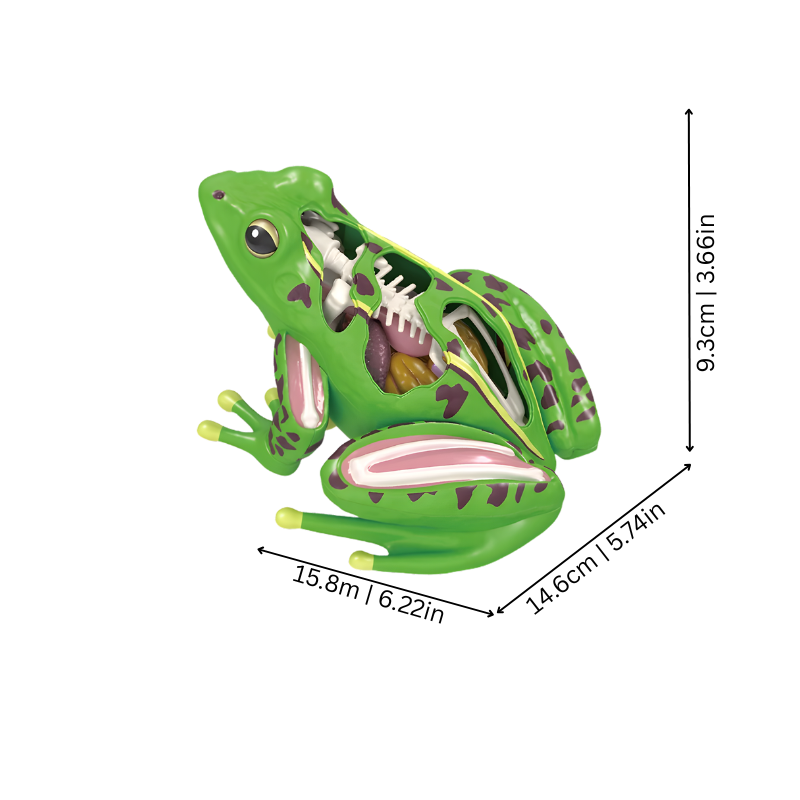 FrogScope
