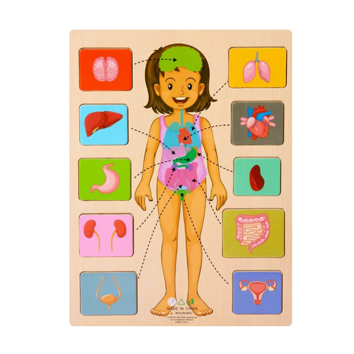 BodyMatch