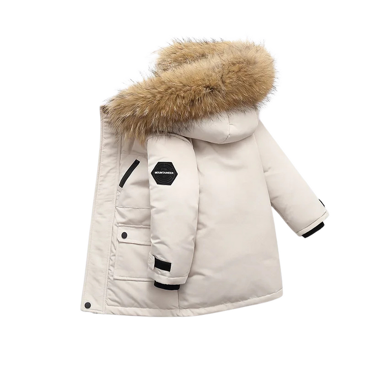 ArcticCub